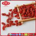 goji organique améliorer la fonction immunitaire goji baies en gros goji berry régime